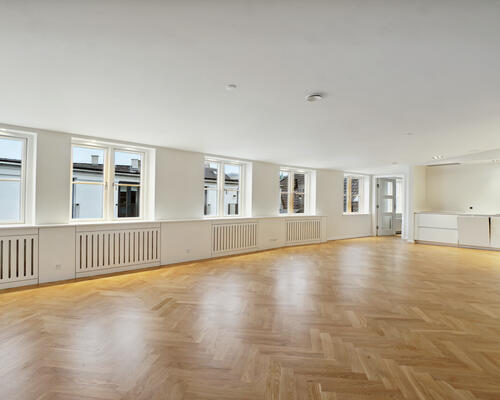 Unik eksklusiv lejlighed i hjertet af København