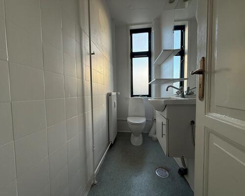 God lys 1. sals lejlighed tæt på centrum