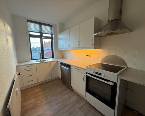 God lys 1. sals lejlighed tæt på centrum