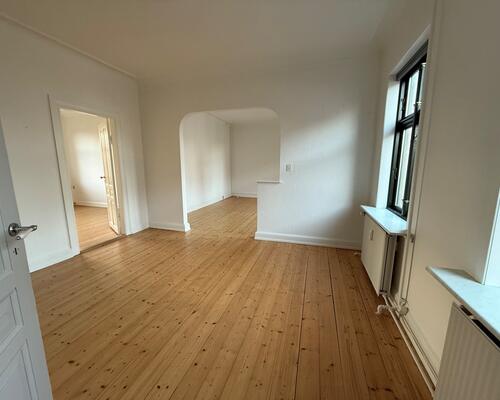 God lys 1. sals lejlighed tæt på centrum