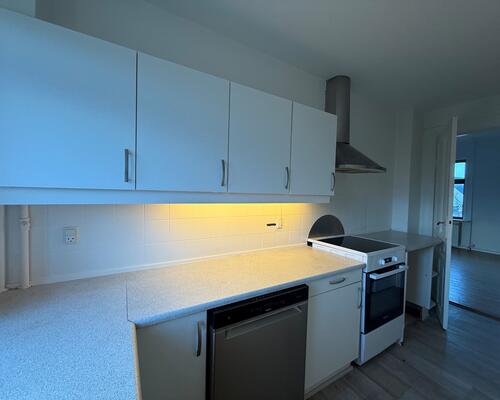 God lys 1. sals lejlighed tæt på centrum