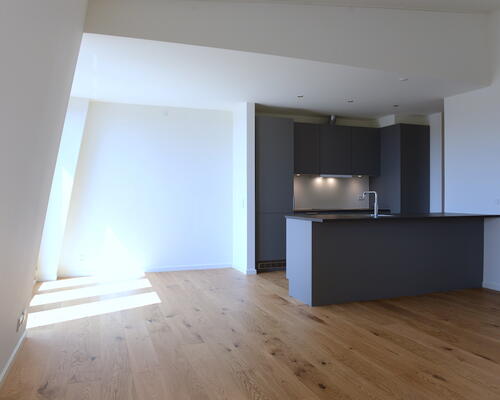 3 værelses lejlighed i København N