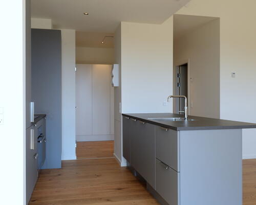 3 værelses lejlighed i København N