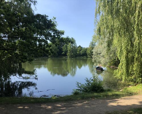 Hyggelig 2-værelses lejlighed i Aalborgs rolige kvarter
