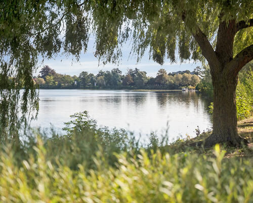 3 værelses lejlighed i Rødovre