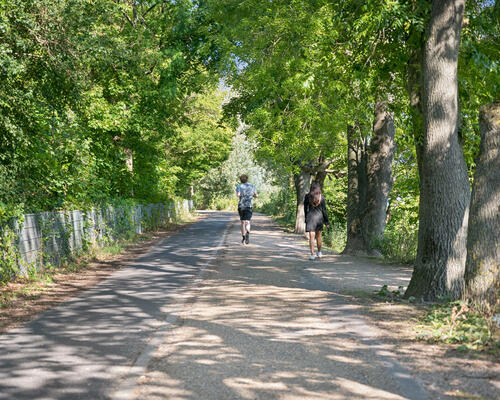 3 værelses lejlighed i Rødovre