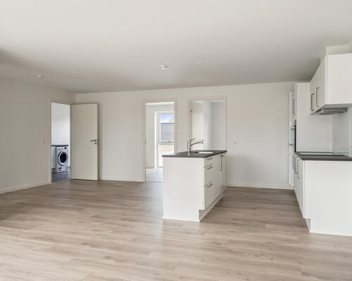 Lækkert, nyt ende-rækkehus i Egeskov, Fredericia