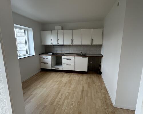 Stor 1 sals lejlighed på Flaskehalsen, 5240 Odense NØ udlejes.