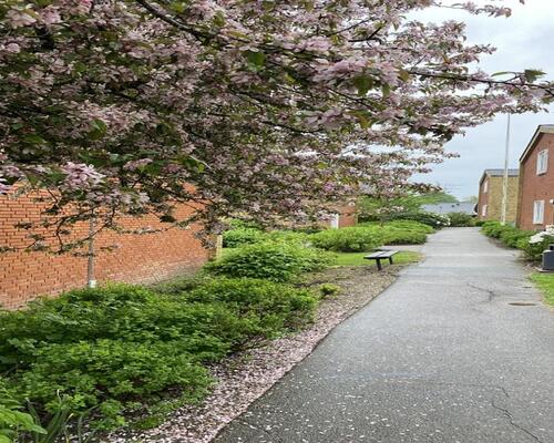 2 værelses lejlighed i Skive