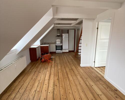 Hyggelig taglejlighed med hems