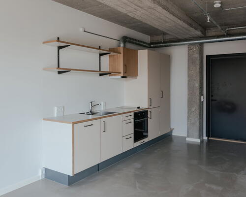 Lyst studio med plads til det hele