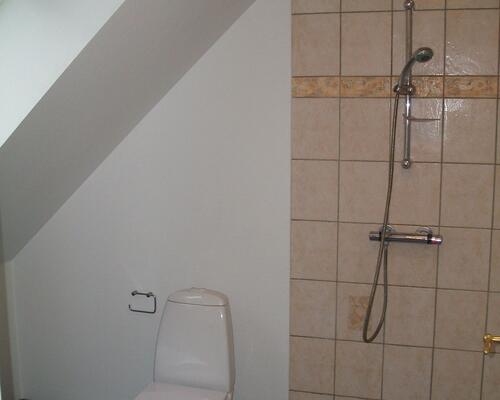 Hyggelig taglejlighed med hems