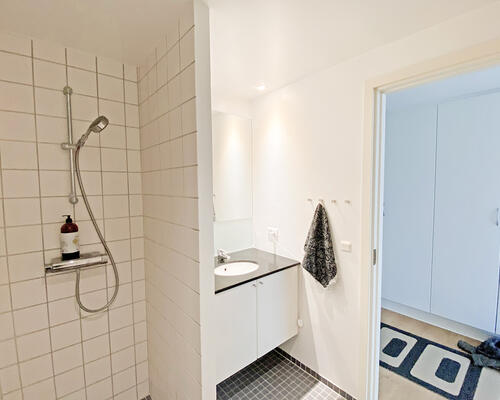 2 værelses lejlighed i København S