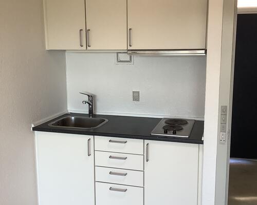 1-værelses lejlighed i Skibhuskvarteret