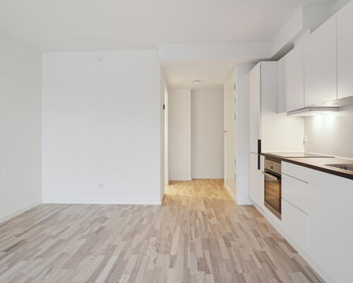 Egedal Stationsby - Hyggelig 2 værelses lejebolig med stor terrasse