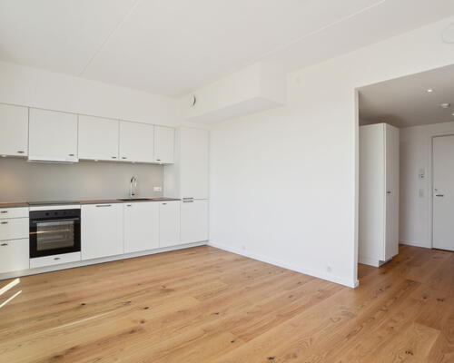 UN17 Spidsen - 2 vær. med fantastisk udsigt til Kalvebod Fælled