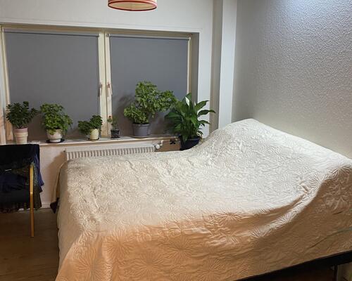 Stor og regulær 2. værelses lejlighed