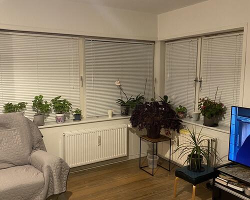 Stor og regulær 2. værelses lejlighed