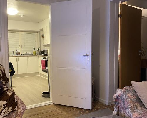 Stor og regulær 2. værelses lejlighed