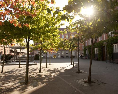 2 værelses lejlighed i Aalborg