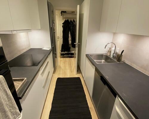 1- værelses - Nyrenoveret i 2024 med mange indretningsmuligheder