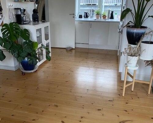 Billig 3 værelses lejlighed centralt i Dronninglund - husdyr tilladt