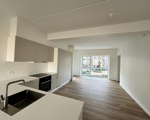 Moderne 3-værelses lejlighed i Nørresundby med altan