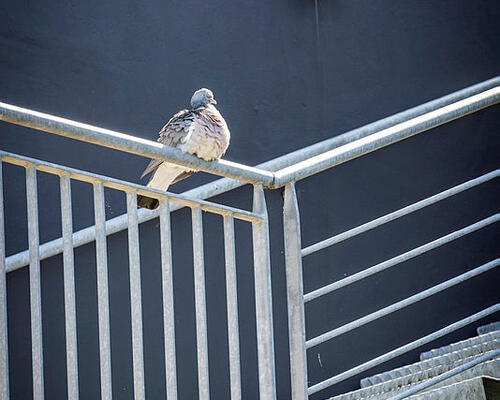 2 værelses lejlighed i Holstebro