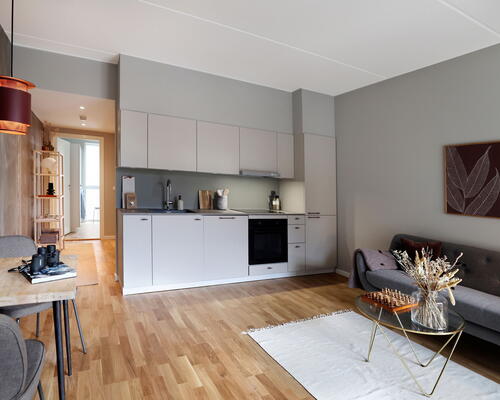 2 vær bolig i UN17 Lunden - et bofællesskab for dig over 40 år - Hyggelig stue og køkken-alrum i åben forbindelse