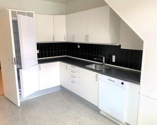 Stor flot delevenlig lejlighed i Nyborg centrum – 119 Kvm