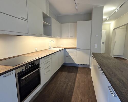 Skøn stilfuld lejlighed ved Langelinie