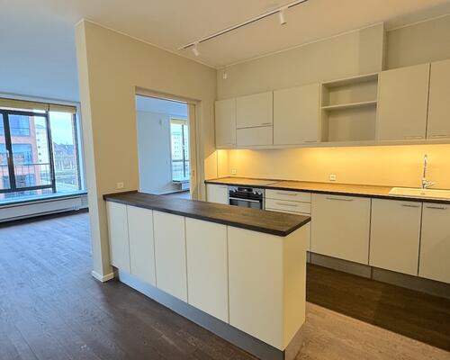 Skøn stilfuld lejlighed ved Langelinie