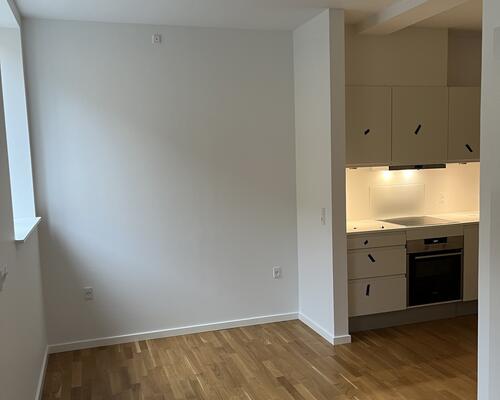 2 værelses lejlighed i Århus C