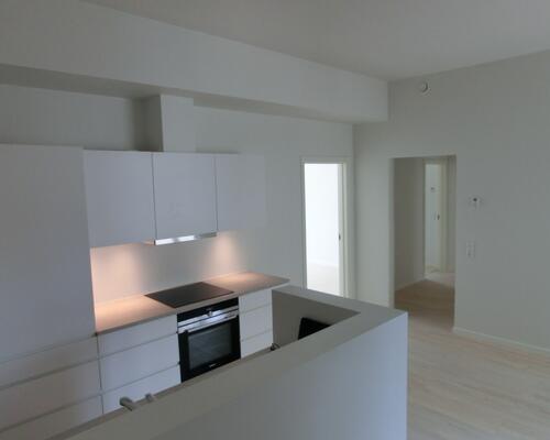 Stor lejlighed i hjertet af Aarhus