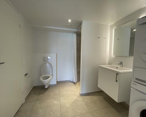 1 værelses lejlighed i Viborg