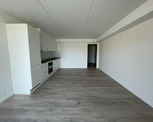 1 værelses lejlighed i Viborg