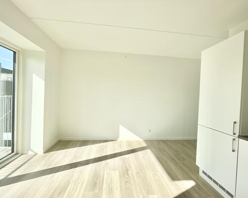 2 værelses lejlighed i Viborg