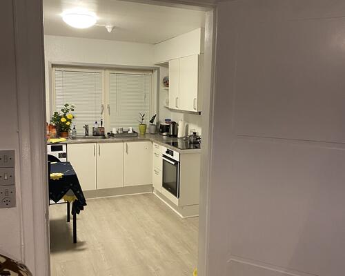 Stor og regulær 2. værelses lejlighed