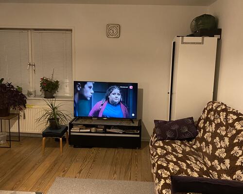 Stor og regulær 2. værelses lejlighed