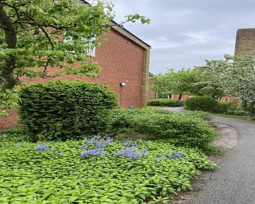 2 værelses lejlighed i Skive