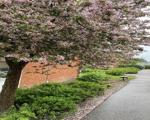 3 værelses lejlighed i Skive