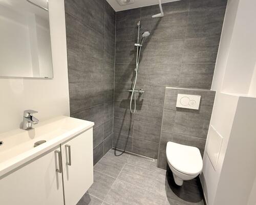 1 værelses lejlighed udlejes i Viby J