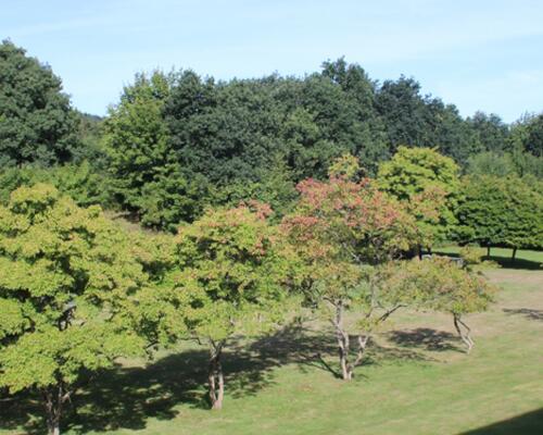 3 værelses hus i Frederikshavn