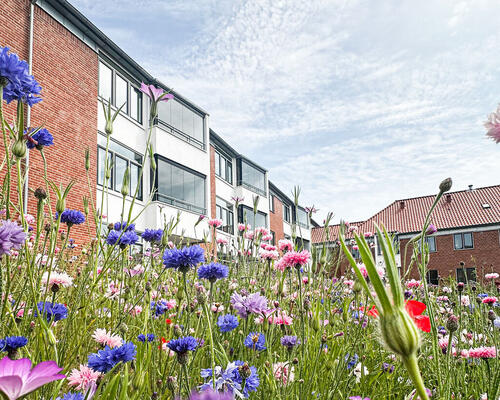 4 værelses lejlighed i Viborg