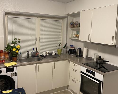 Stor og regulær 2. værelses lejlighed