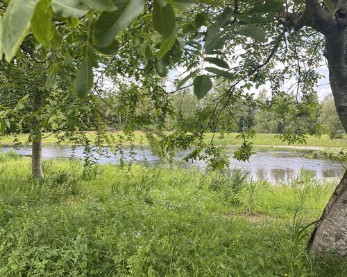 3 værelses hus i Them