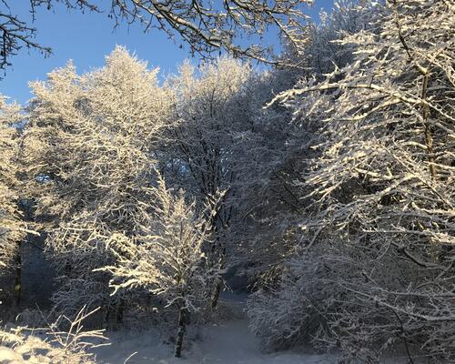 3 værelses hus i Them