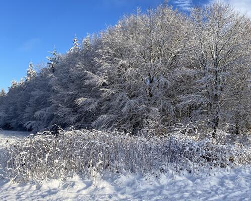 3 værelses hus i Them