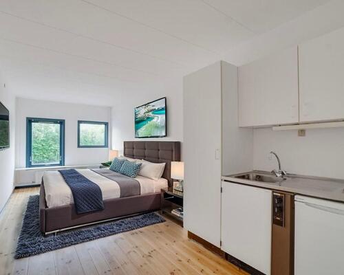 Overskuelig 1-værelses lejlighed