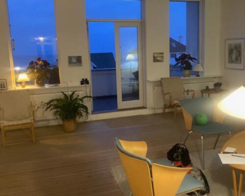 Skøn Øresundsudsigt fra dejlig lejlighed.